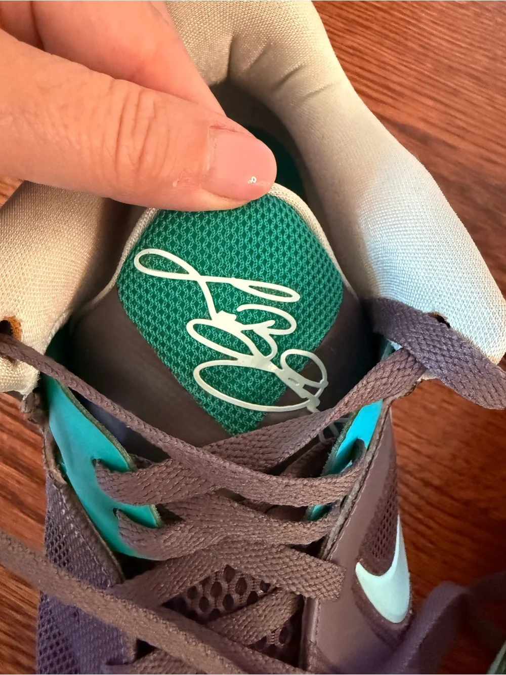 Nike LeBron 9 Low Easter Size 13 OG Box Extra Laces